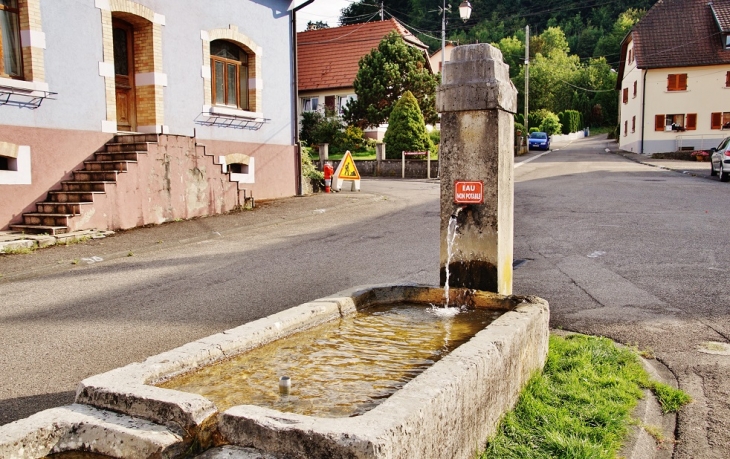 Fontaine - Vieux-Ferrette