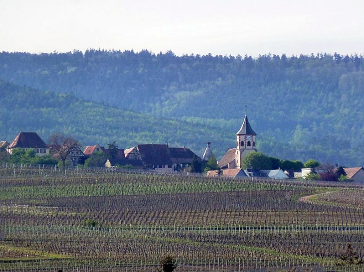 Vue sur le village - Zellenberg