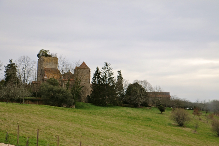 Vue sur le château de Baneuil.