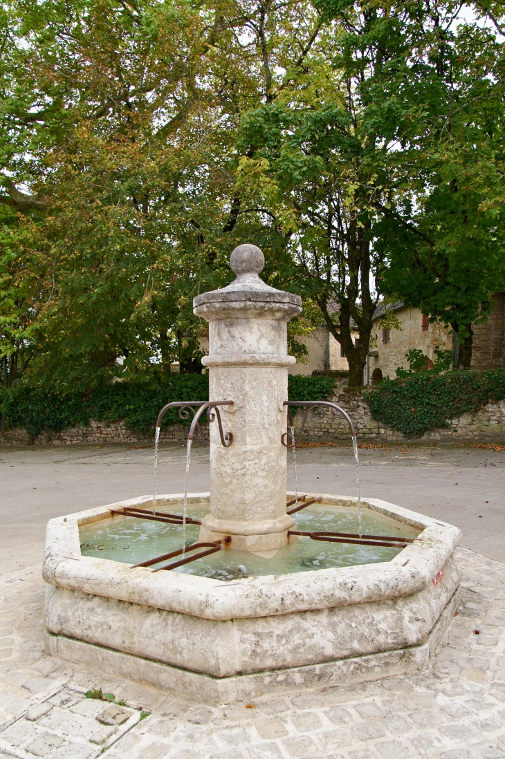 La fontaine de la place Maréchal. - Beauregard-de-Terrasson