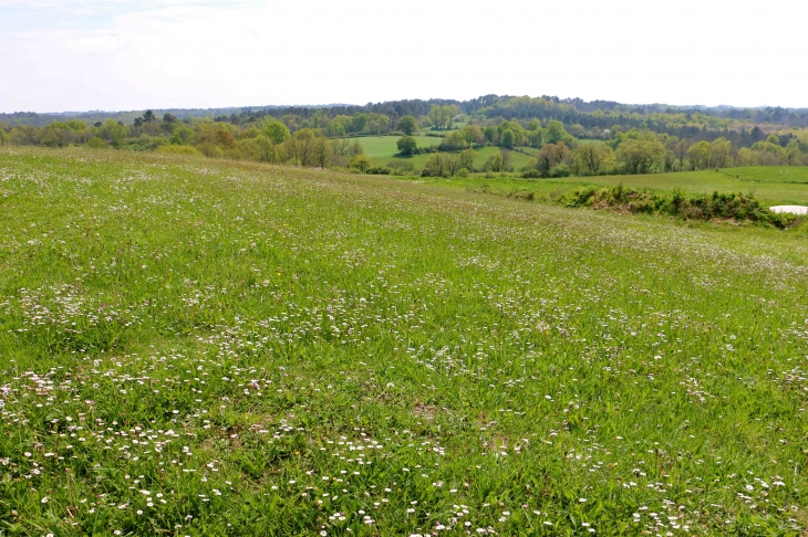 Aux alentours. - Biron