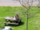 Photo suivante de Biron Picnic au pied du château.