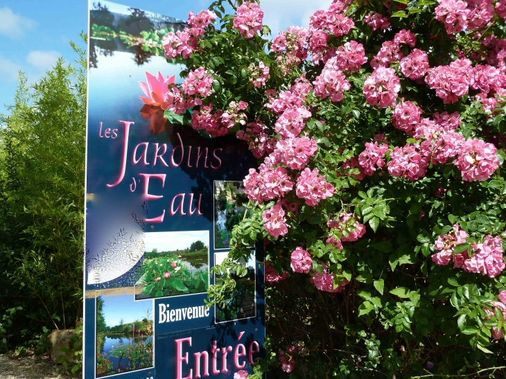 Les Jardins d'Eau, site construit vers le XVI°, sur 3 hectares. - Carsac-Aillac