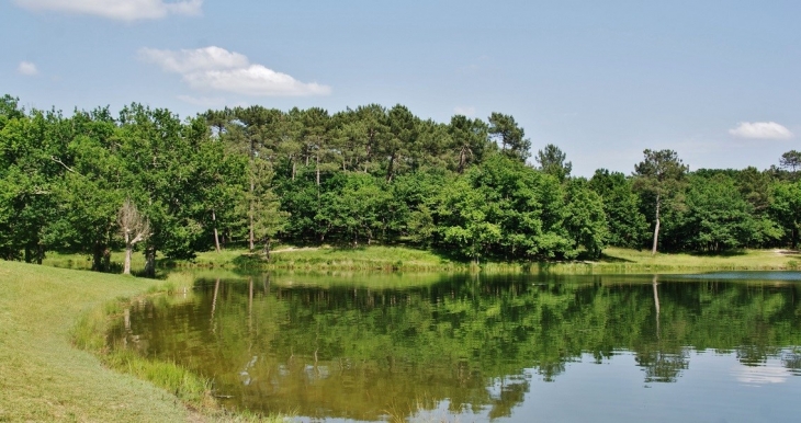 Le Lac - Carsac-de-Gurson