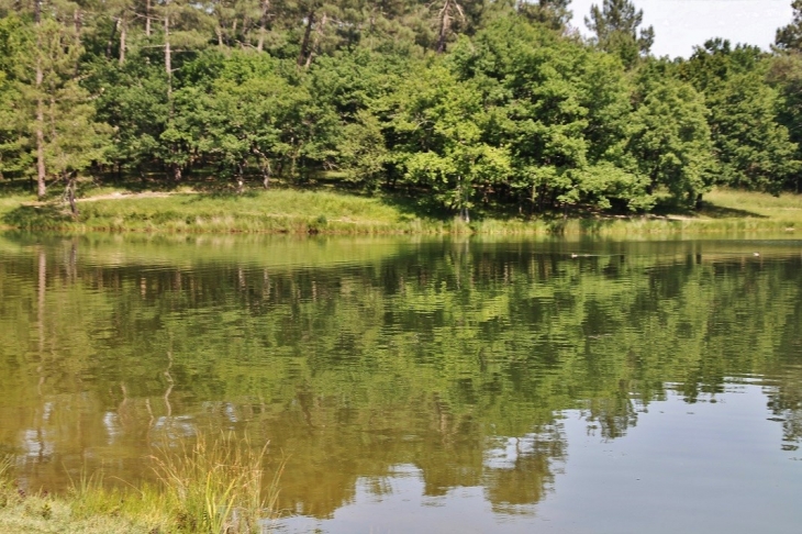 Le Lac - Carsac-de-Gurson