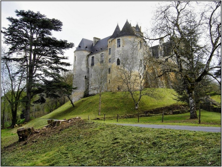 Chateau de Fayrac - Castelnaud-la-Chapelle