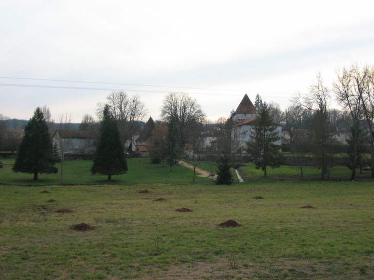 Vue panoramique du château - Chapdeuil