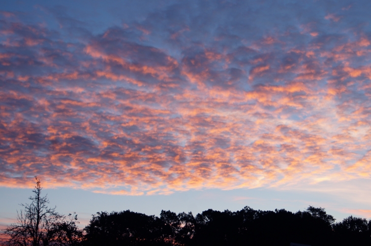 Au petit matin. - Coulounieix-Chamiers