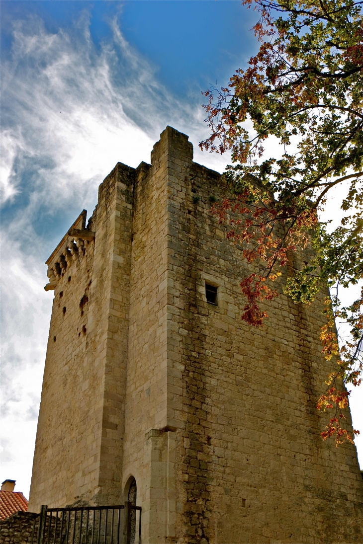 La tour-carre-du-chateau - Eymet