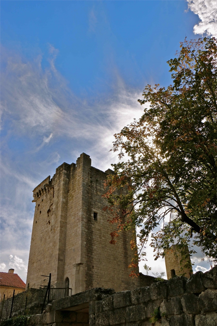La tour carré du château - Eymet