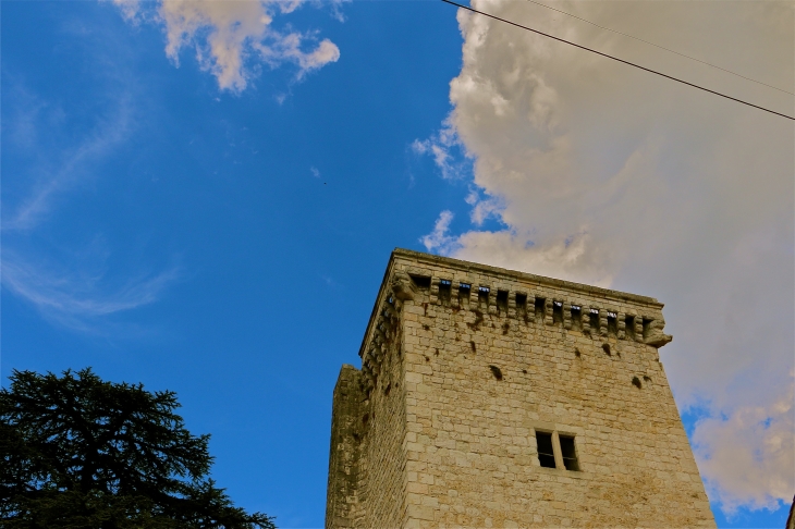 La tour carré - Eymet