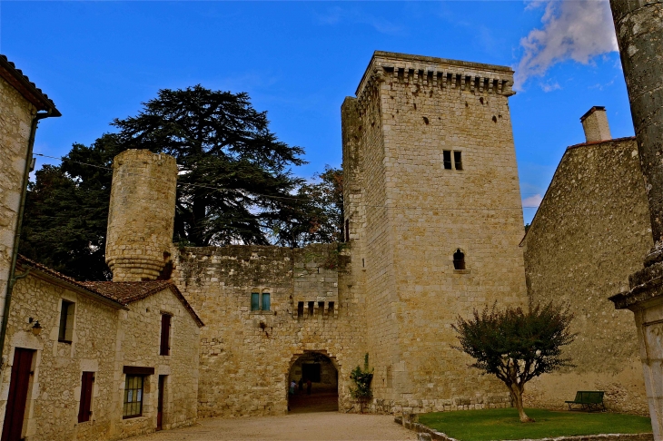 Le château façade sud - Eymet