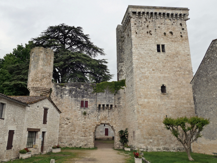 Le château - Eymet
