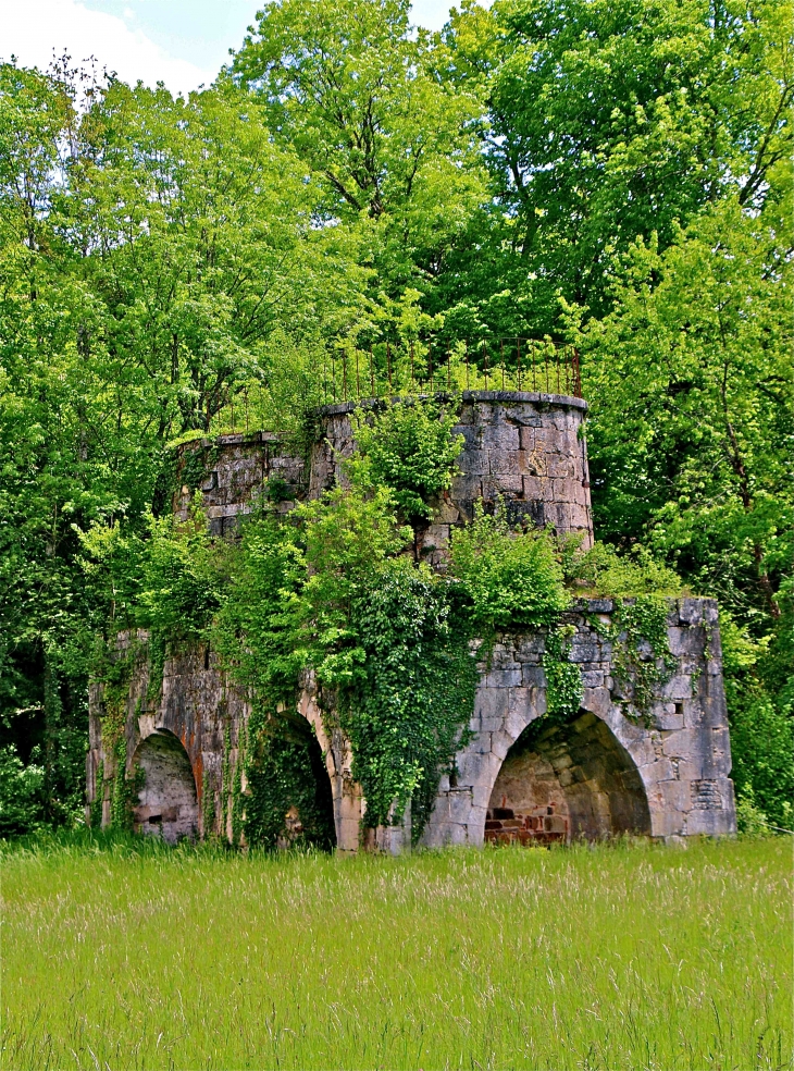 Les vestiges des anciennes forges - La Boissière-d'Ans