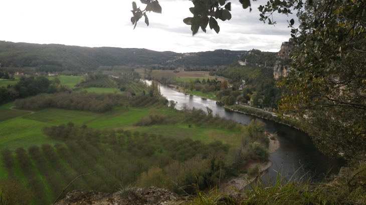La Dordogne au pied du village. - La Roque-Gageac