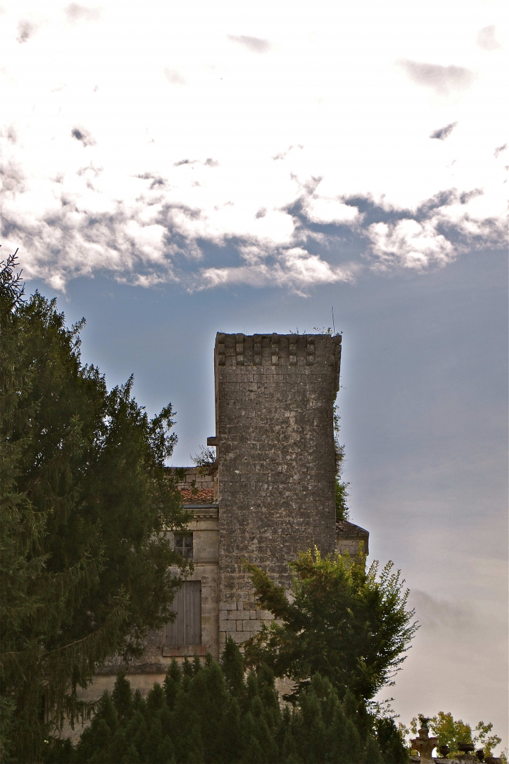 Le château fort - La Tour-Blanche