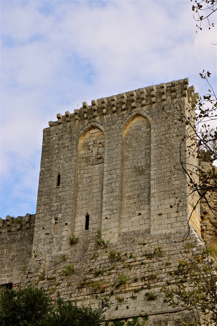 Le château fort - La Tour-Blanche