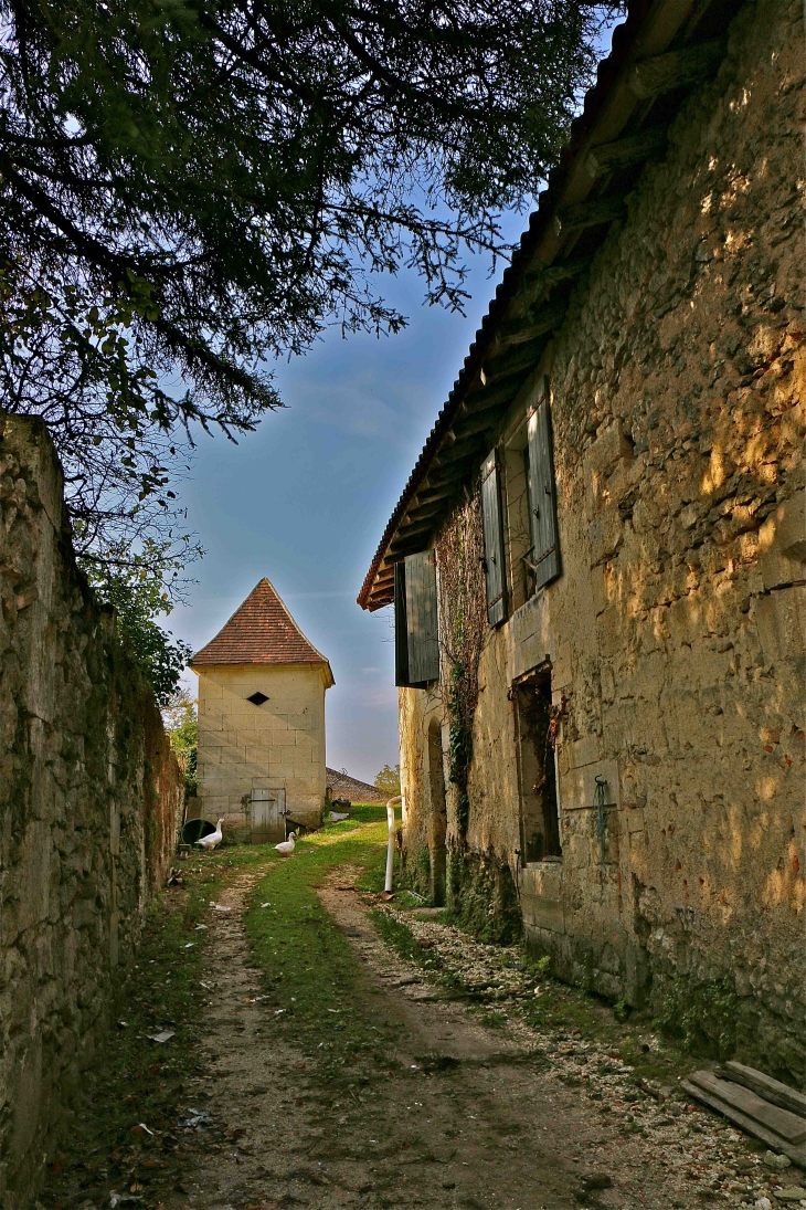 Dans le village - La Tour-Blanche