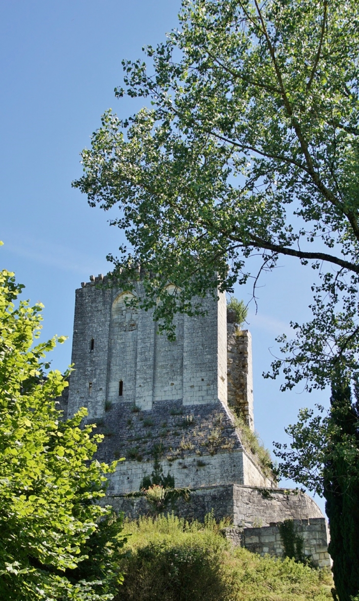 Le Château - La Tour-Blanche