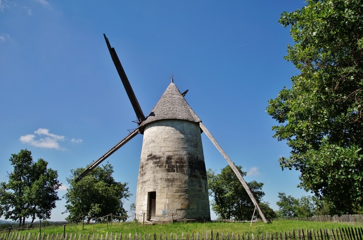 Le Moulin - La Tour-Blanche
