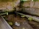 Photo suivante de La Tour-Blanche Le lavoir