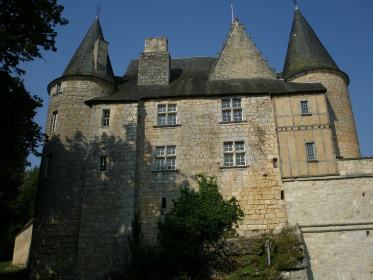 Chateau de Lamonzie Montastuc - Lamonzie-Montastruc