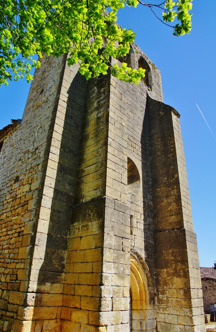 ²église Sainte Magdeleine - Larzac