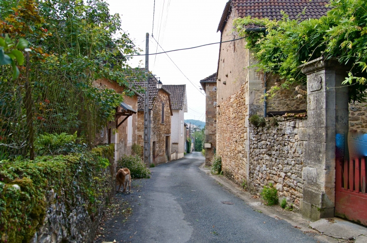 Saint Lazare, chemin des tilleuls. - Le Lardin-Saint-Lazare
