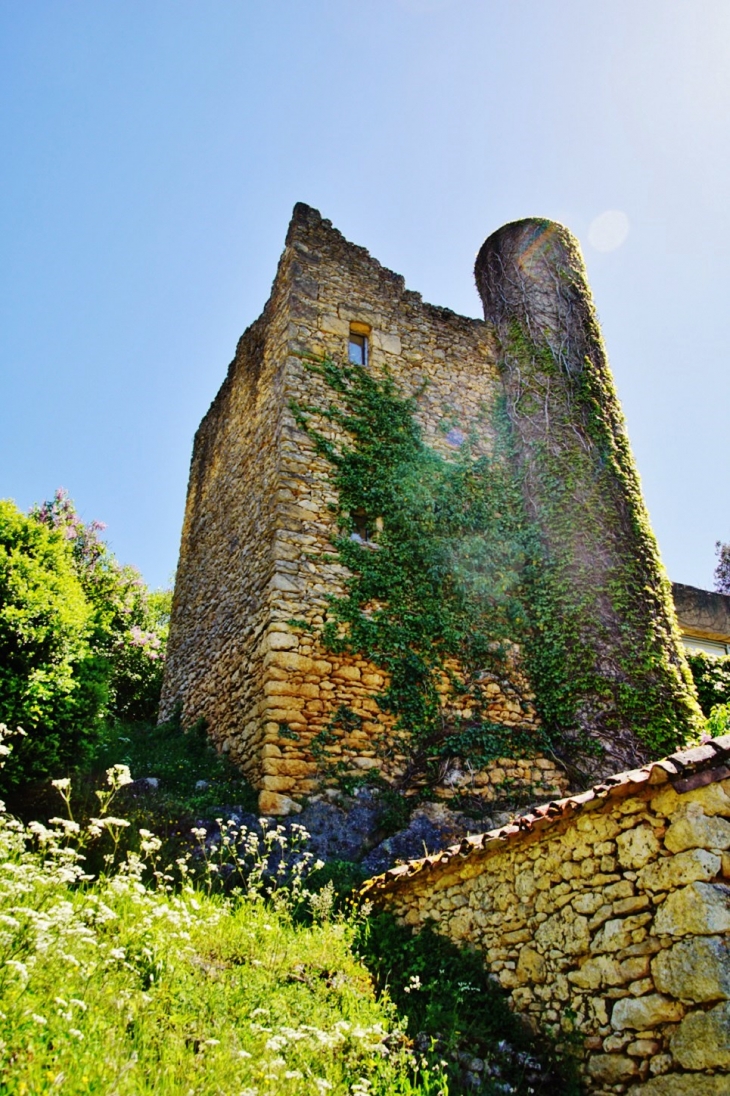 La Tour - Les Eyzies-de-Tayac-Sireuil