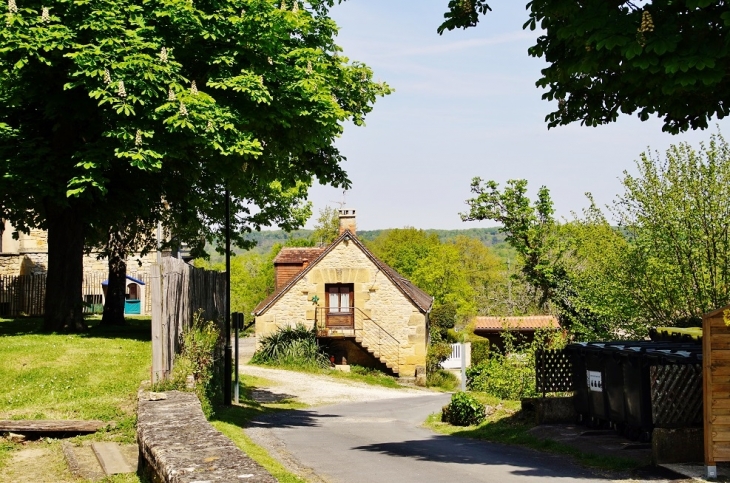 Le Village - Les Eyzies-de-Tayac-Sireuil