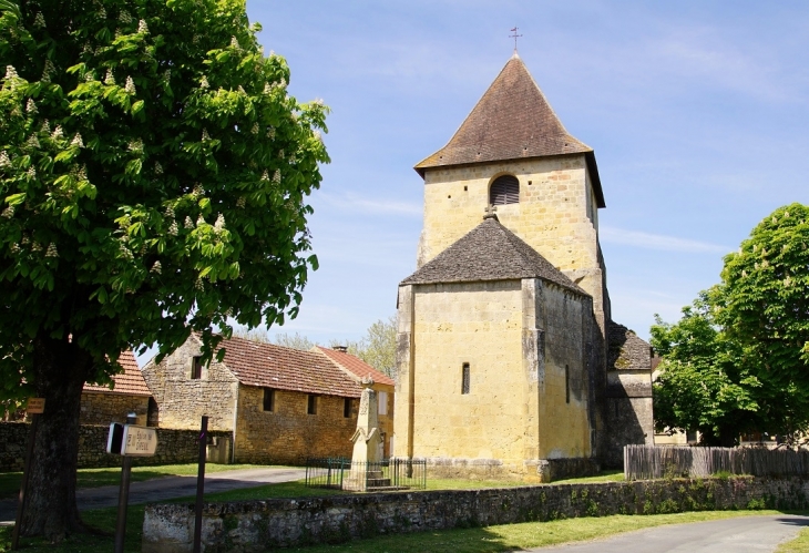<église Saint-Pierre - Les Eyzies-de-Tayac-Sireuil