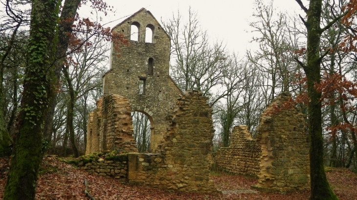 Ruines de l'église du Cheylard 11/12ème. - Les Farges