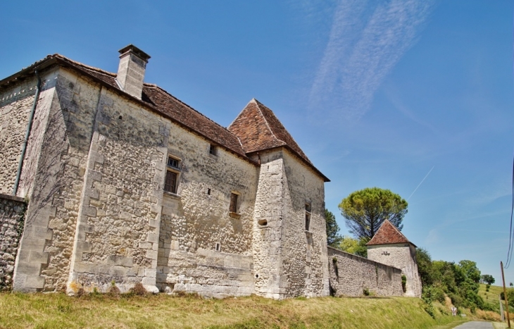 Le Château - Lusignac