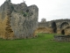 Ruines du château fort XIIIème(IMH).