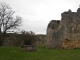 Ruines du château fort XIIIème (IMH).
