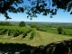 Photo suivante de Monbazillac les-vignes-du-vin-de-monbazillac-vue-de-la-terrasse-du-chateau