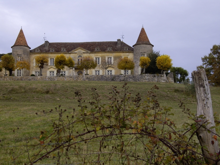 Château de Mathecoulon (SI) 16/18ème. - Montpeyroux