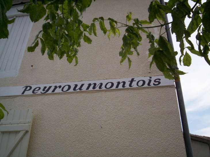  - Montpeyroux