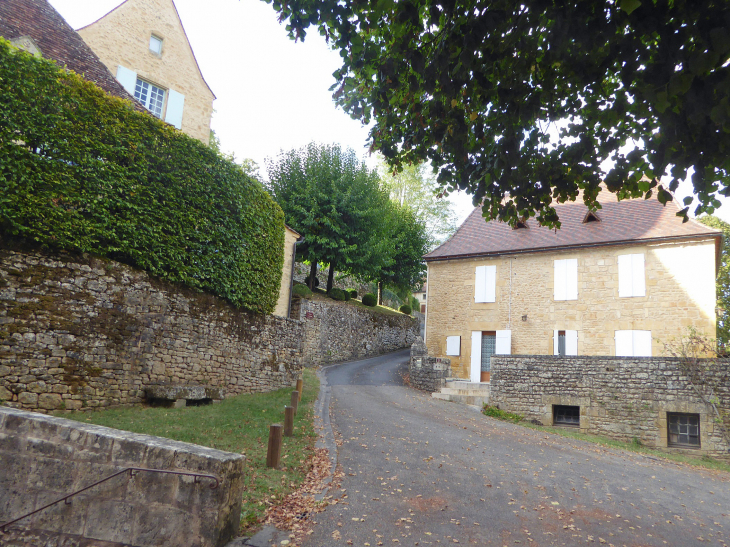 Maisons du village - Paunat