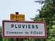 Piégut-Pluviers