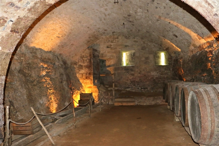 Le château de Bridoire : la cave - Ribagnac