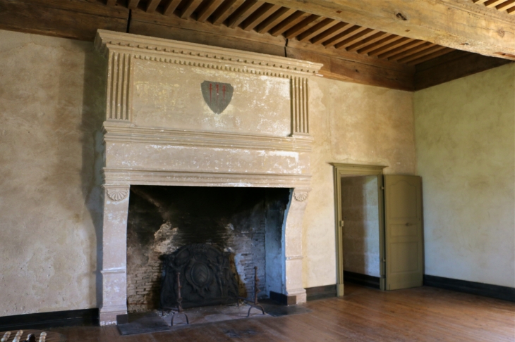Le château de Bridoire : la cheminée de la salle d'armes - Ribagnac