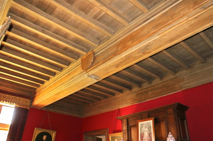 Le château de Bridoire :plafond de la salle de billard - Ribagnac