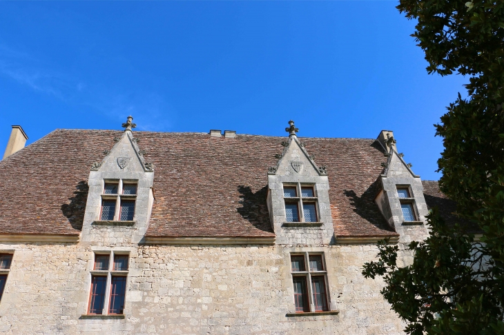 Le château de Bridoire - Ribagnac