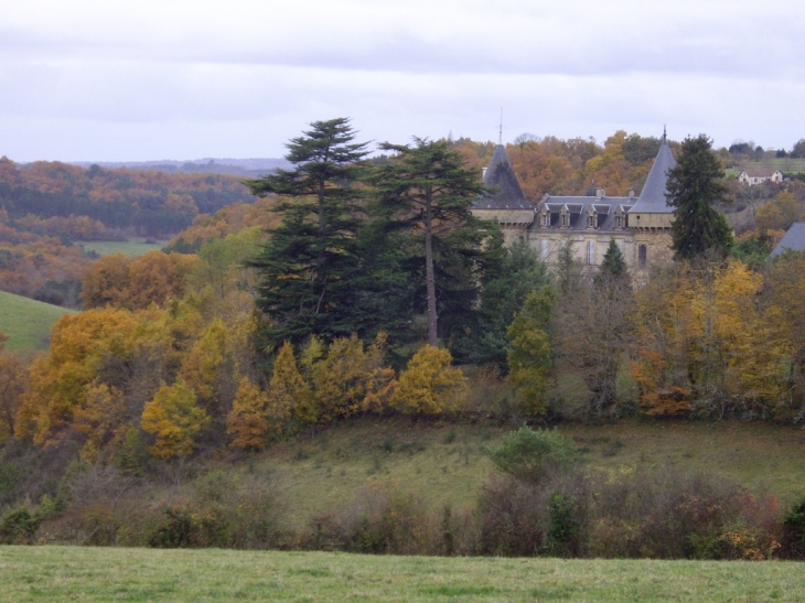 Château du Chaylard 16è/19è siècle. - Rouffignac-Saint-Cernin-de-Reilhac