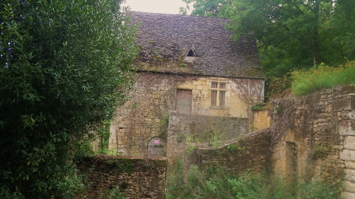Maison ancienne au hameau de Bouyssiéral. - Saint-André-d'Allas