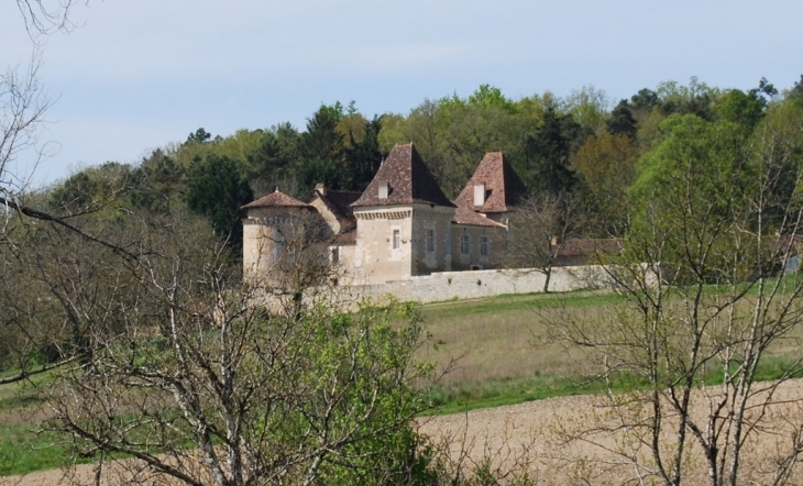 Château de Belet - Saint-Aquilin