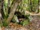 Le Dolmen de Peyrebrune