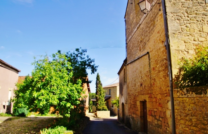 Le Village - Saint-Avit-Sénieur