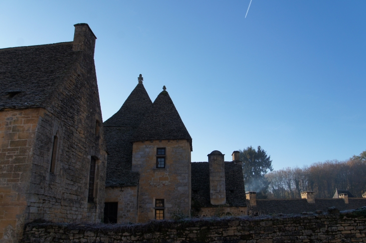 Le Château. - Saint-Geniès